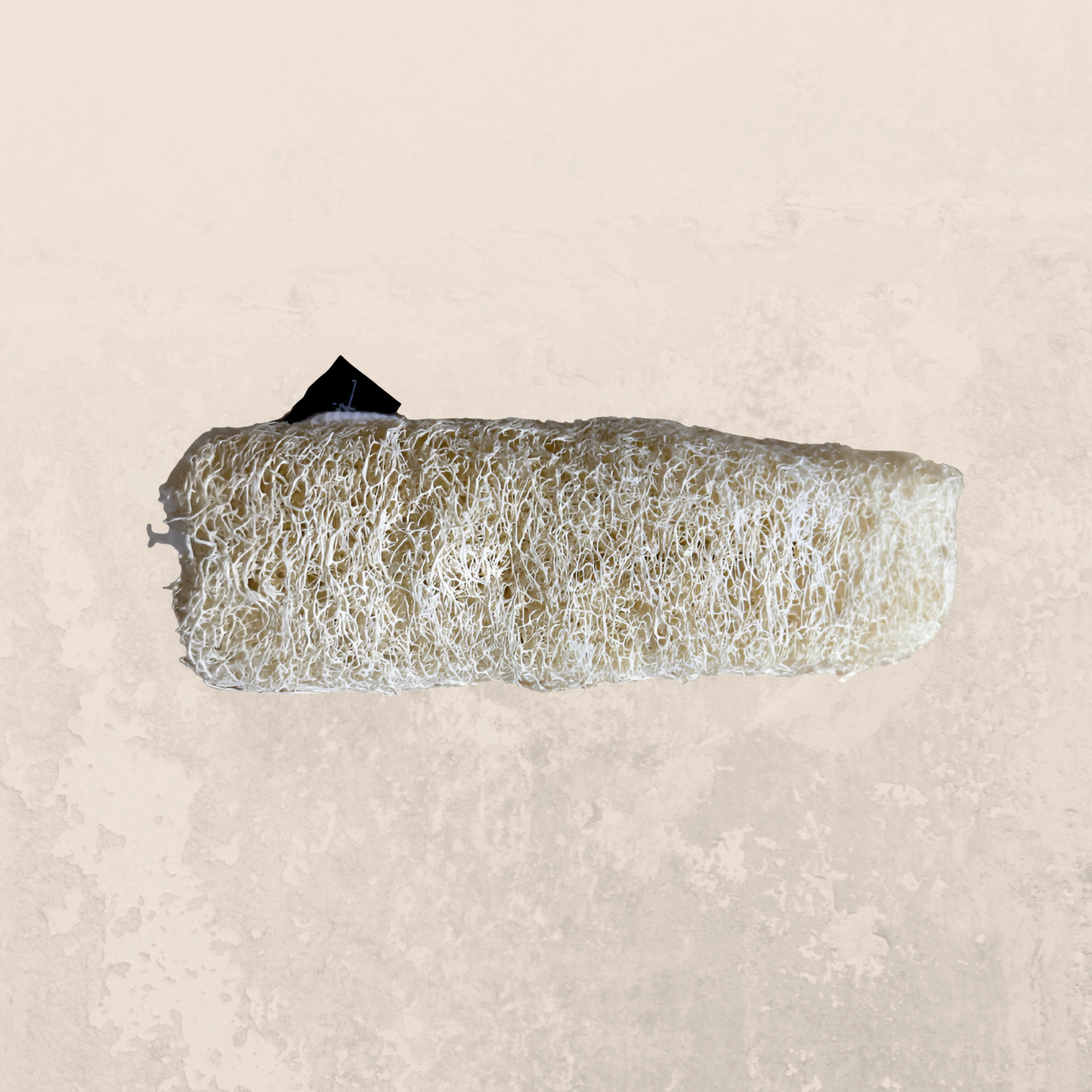 Raw Loofah (Natural Luffa)