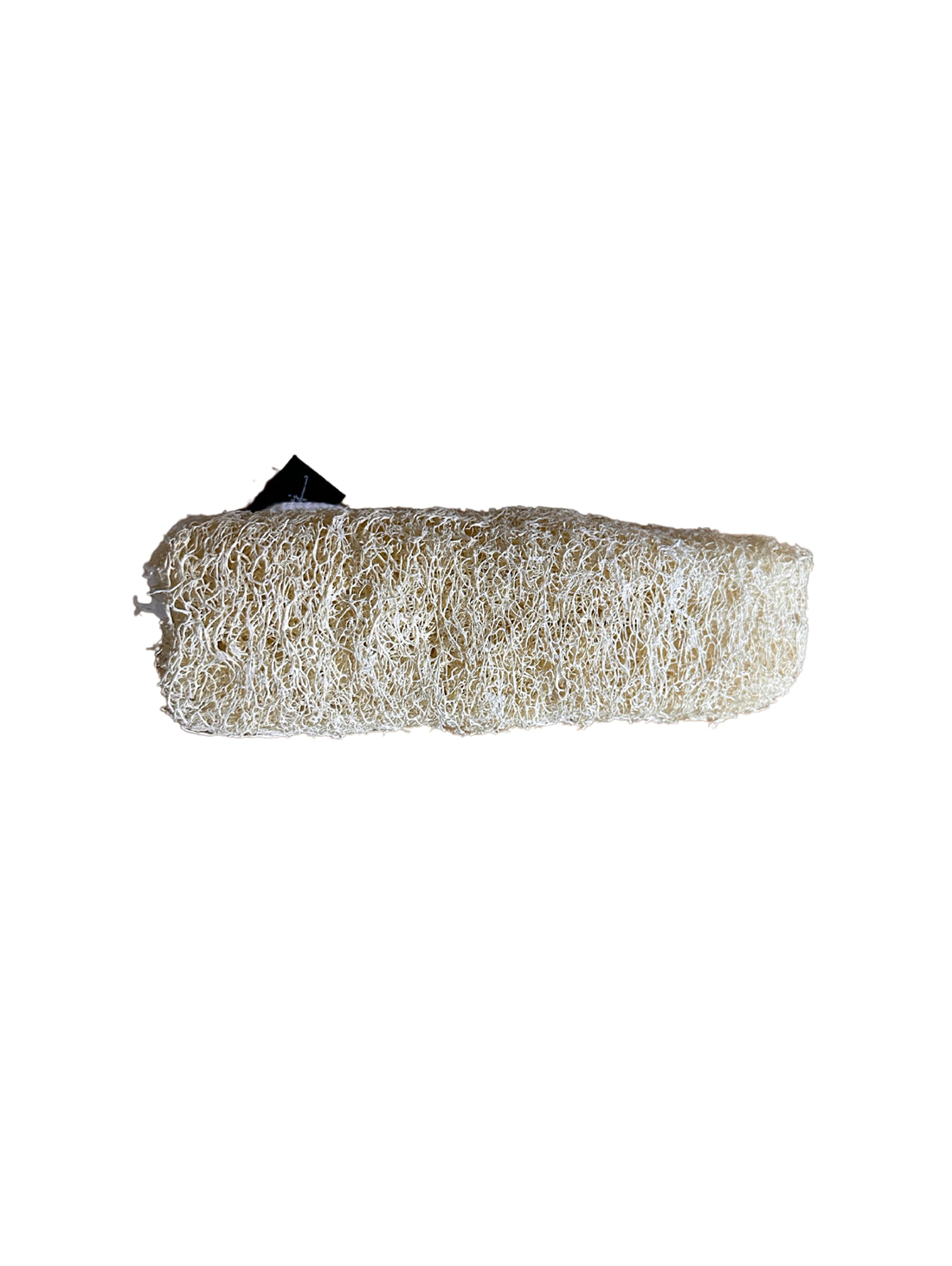 Raw Loofah (Natural Luffa)