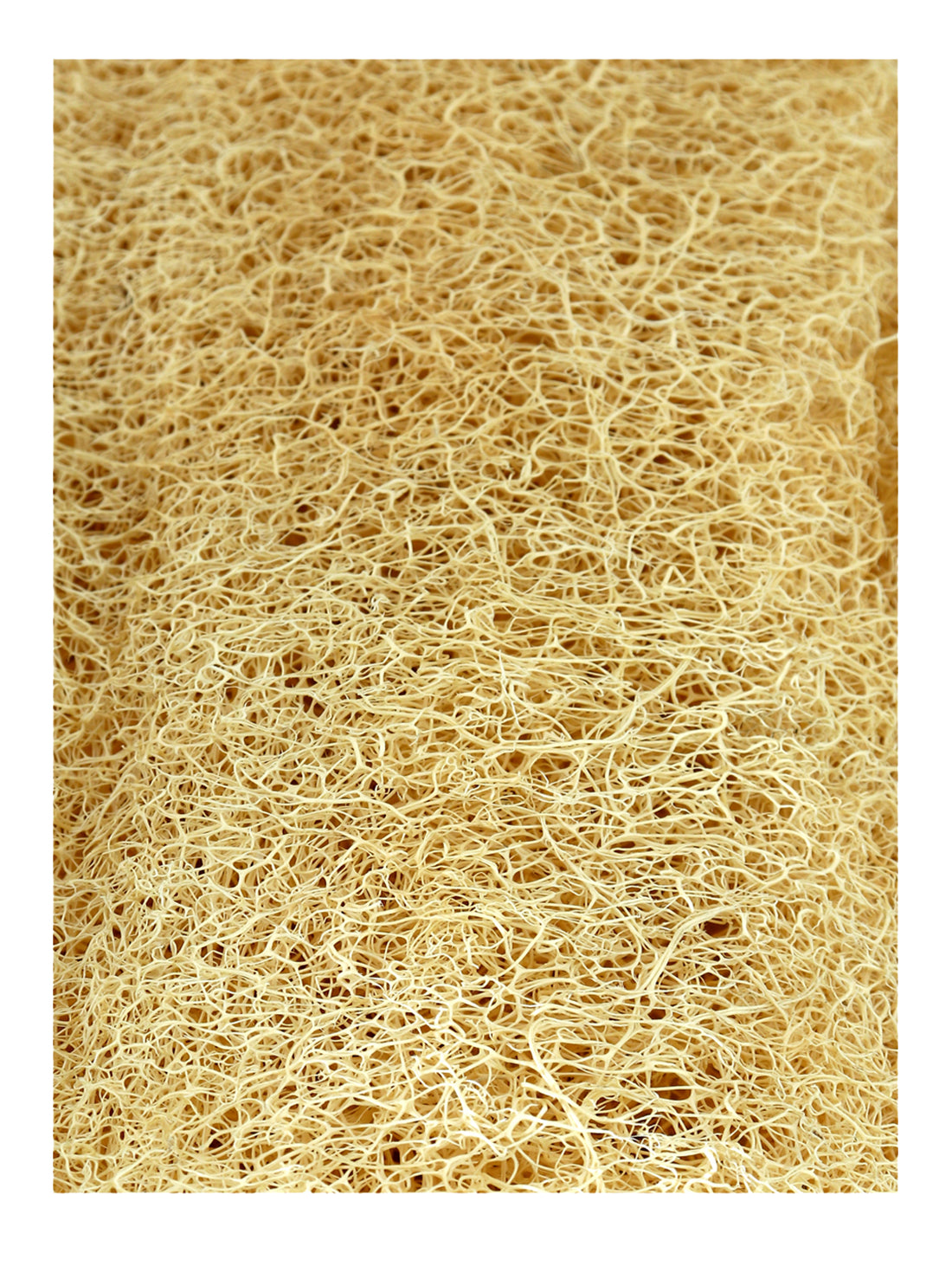 Raw Loofah (Natural Luffa)